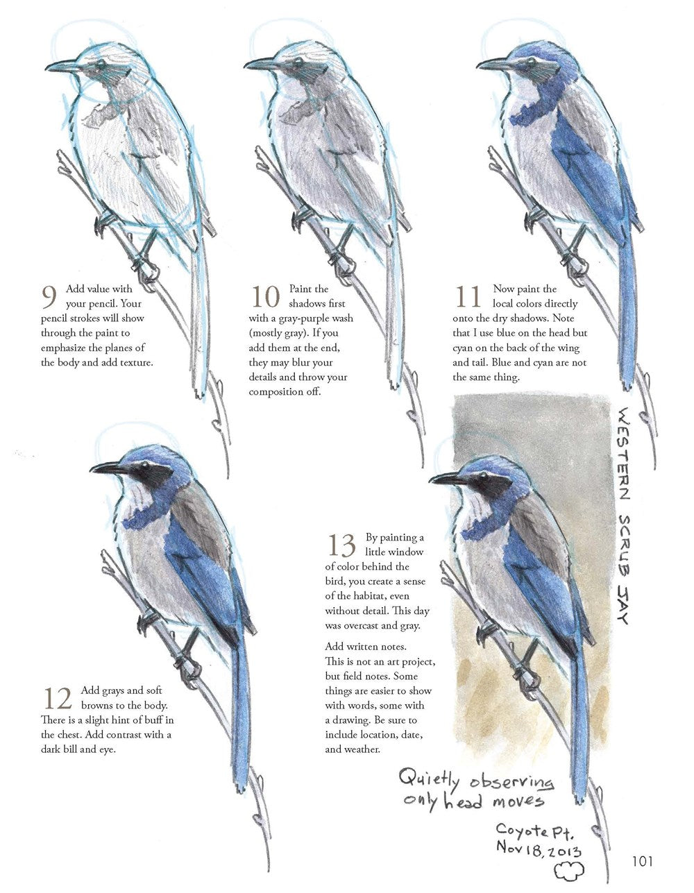 The Laws Guide to Nature Drawing and Journaling