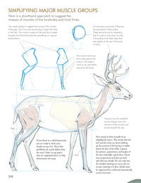The Laws Guide to Nature Drawing and Journaling