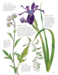 The Laws Guide to Nature Drawing and Journaling