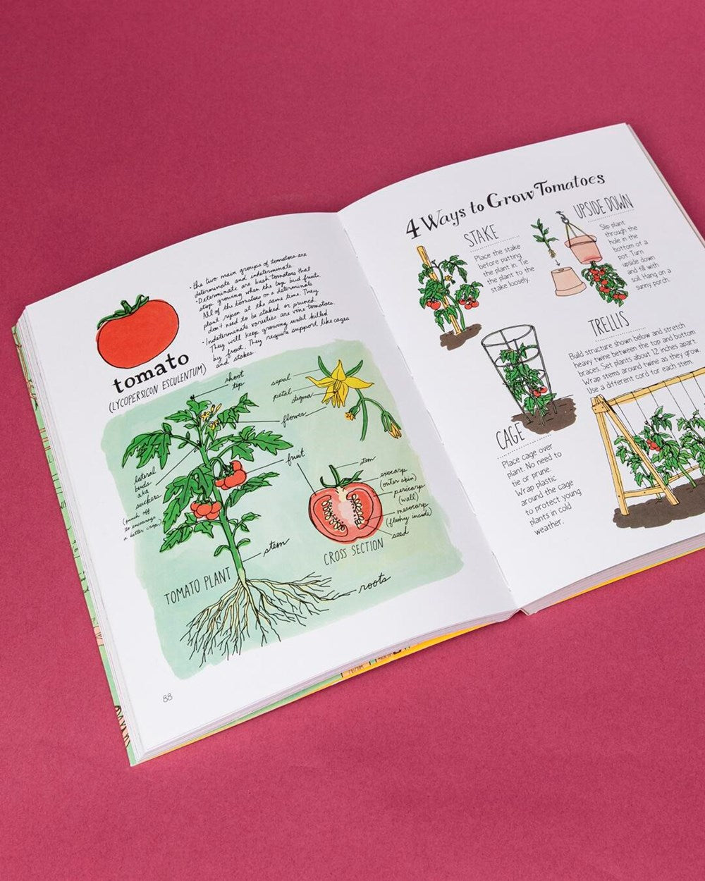 Farm Anatomy: The Curious Parts and Pieces of Country Life