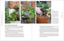 The Modern Cottage Garden