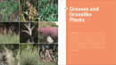 The Southeast Native Plant Primer