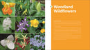 The Southeast Native Plant Primer