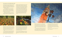 Understanding Exposure, Fourth Edition: How to Shoot Great Photographs with Any Camera