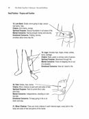 The Reiki Teacher's Manual - Second Edition