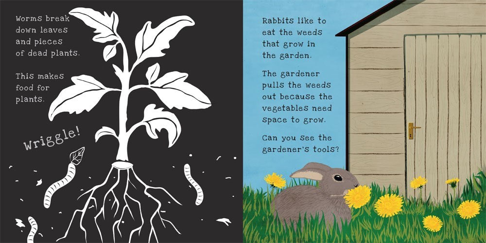 Secrets of the Vegetable Garden