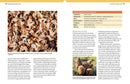 The Essential Guide to Cultivating Mushrooms