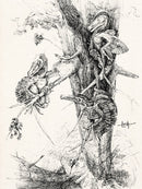 The Secrets of Dinosaurs