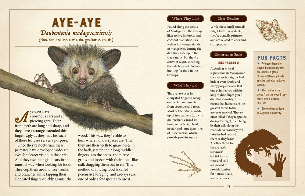 A Curious Collection of Peculiar Creatures