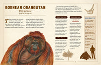 A Curious Collection of Peculiar Creatures