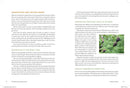 The Modern Herbal Dispensatory: A Medicine-Making Guide
