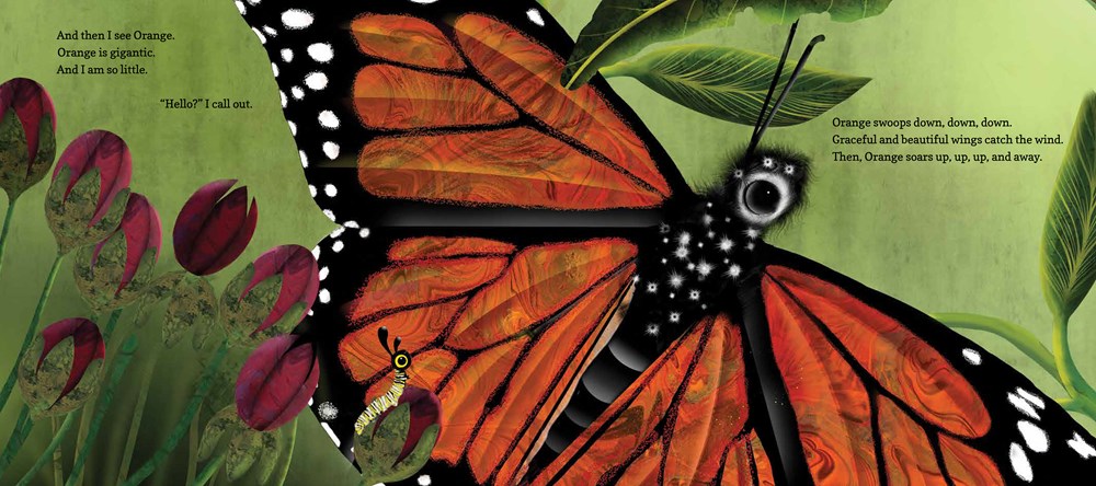 Hello, Little One: A Monarch Butterfly Story