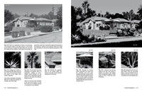 Framed Perspective Vol. 2