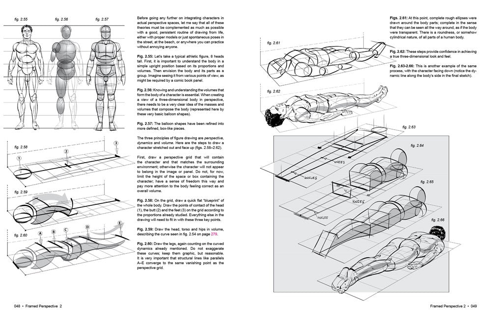 Framed Perspective Vol. 2