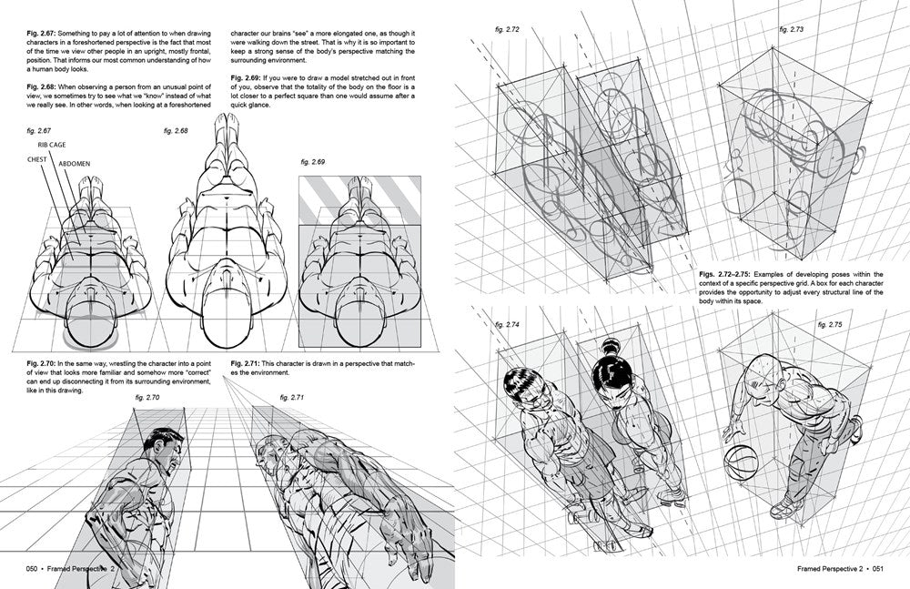 Framed Perspective Vol. 2