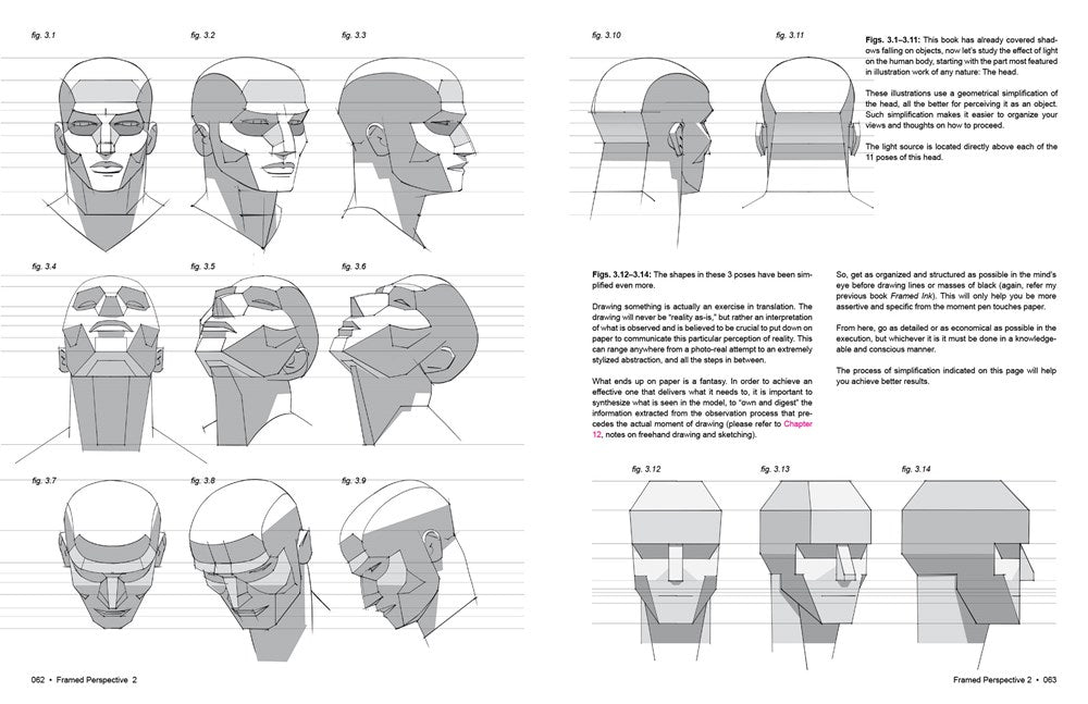 Framed Perspective Vol. 2