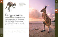 Kangaroos