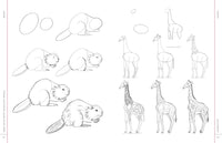 Draw Like an Artist: 100 Realistic Animals