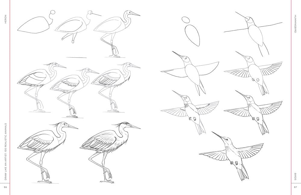 Draw Like an Artist: 100 Realistic Animals