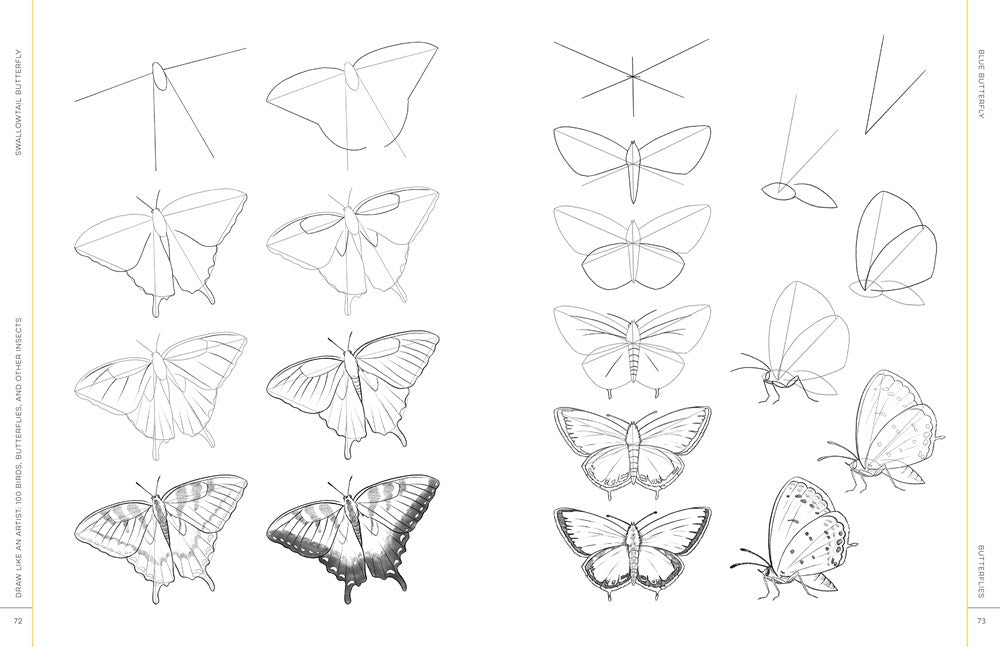 Draw Like an Artist: 100 Birds, Butterflies, and Other Insects