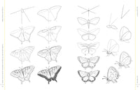 Draw Like an Artist: 100 Birds, Butterflies, and Other Insects