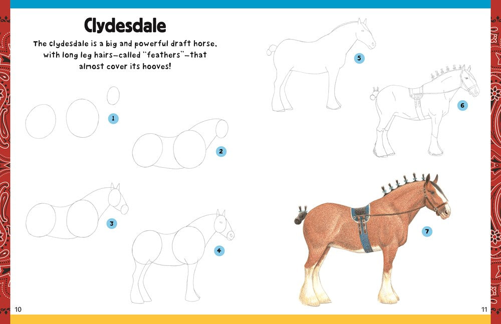 How to Draw Horses & Ponies