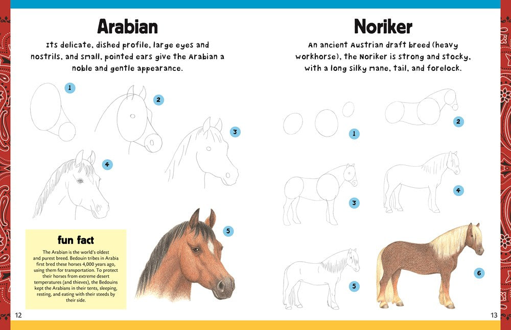 How to Draw Horses & Ponies