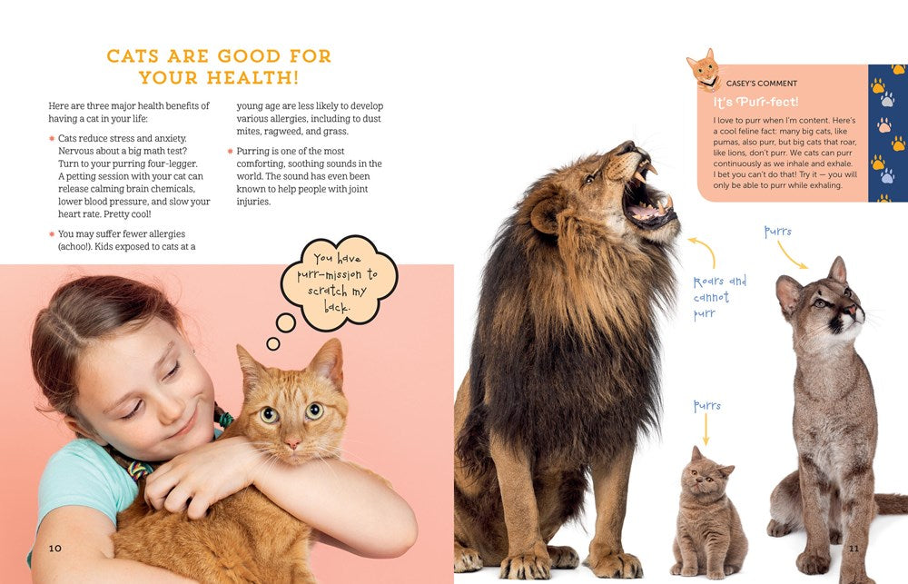 A Kid's Guide to Cats