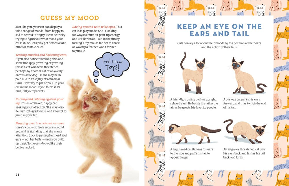 A Kid's Guide to Cats