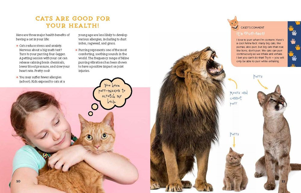 A Kid's Guide to Cats