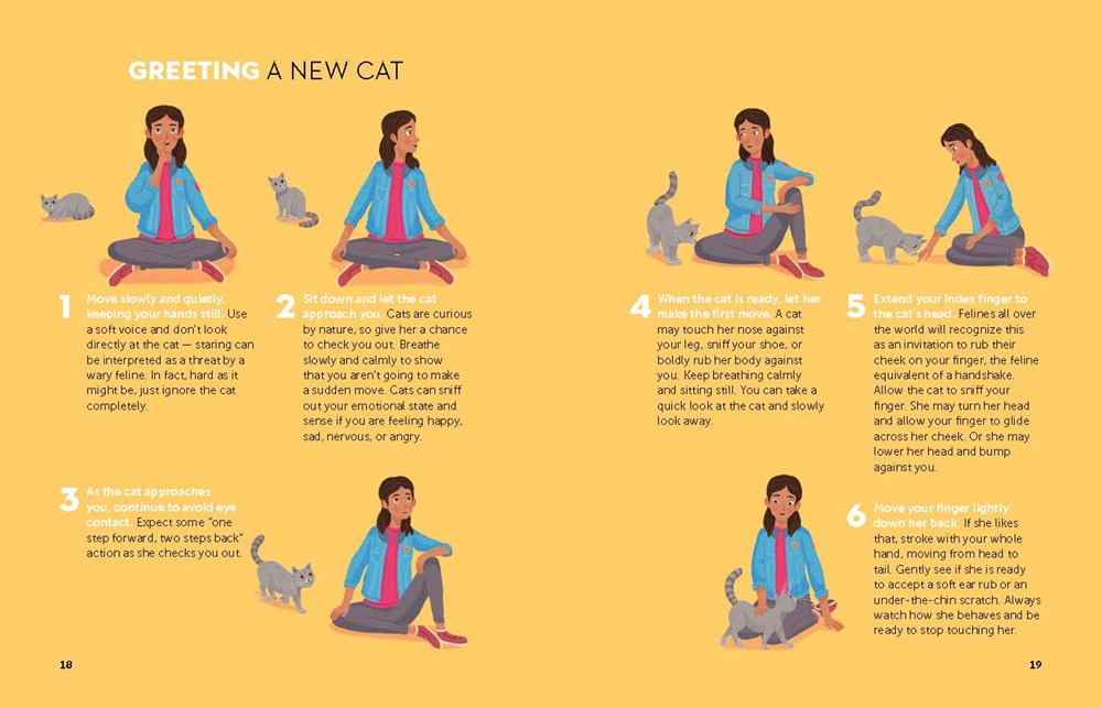 A Kid's Guide to Cats