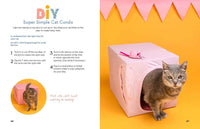 A Kid's Guide to Cats