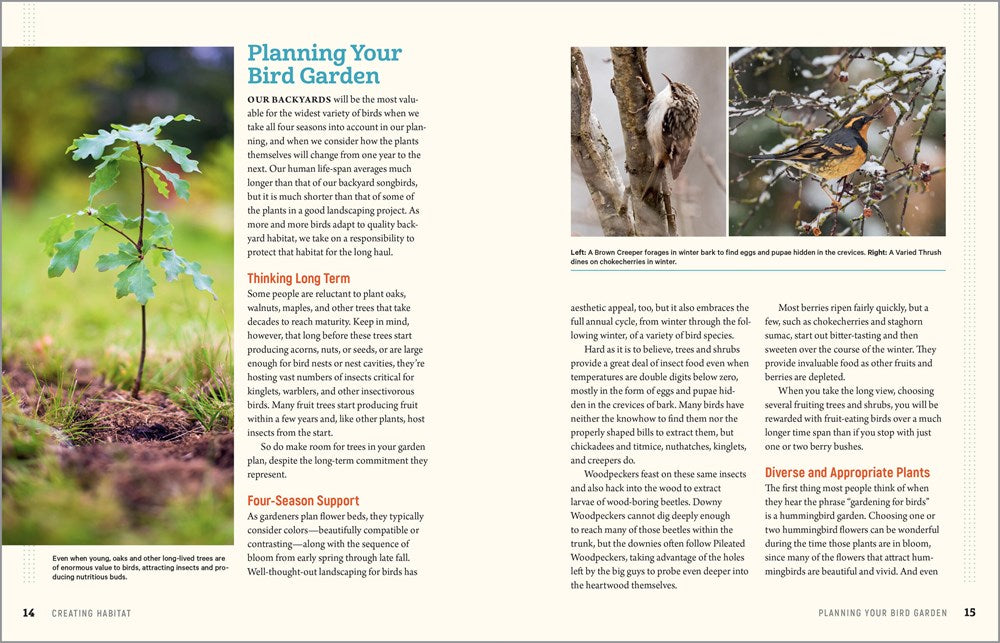 100 Plants to Feed the Birds