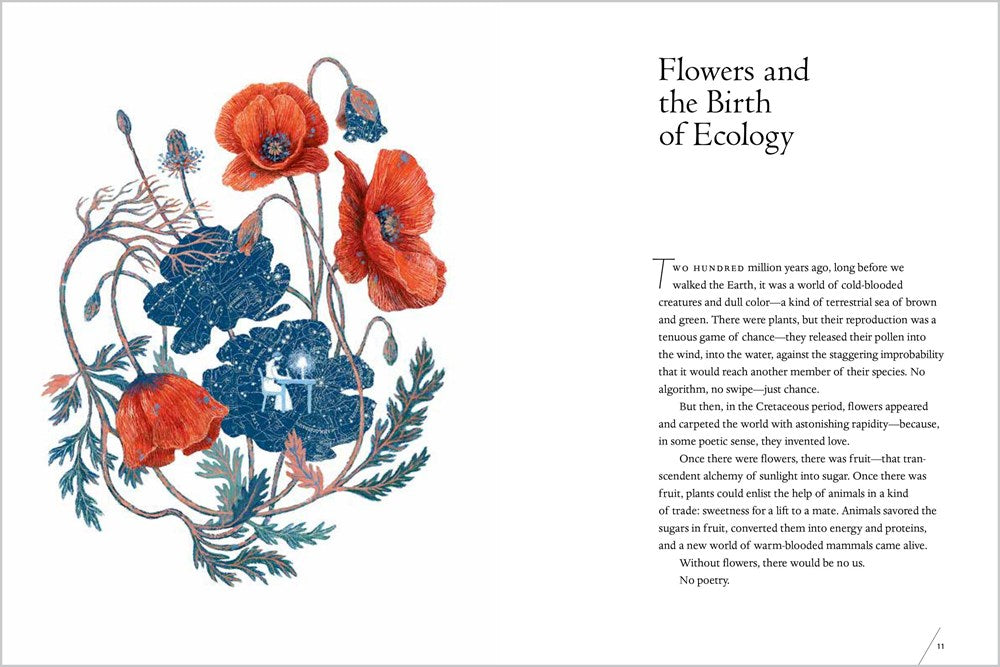 The Universe in Verse: 15 Portals to Wonder through Science & Poetry