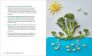 Edible Crafts Kids' Cookbook: 25 Fun Projects to Make and Eat!