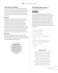 Yoga Anatomy Coloring Book: A Visual Guide to Form, Function, and Movement - An Educational Anatomy Coloring Book for Medical Students, Yoga Enthusiasts, Teachers & Adults (Volume 1)