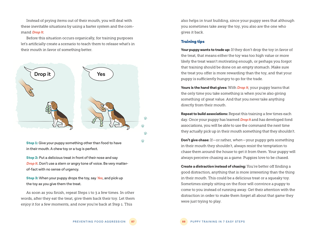 Puppy Training in 7 Easy Steps: Everything You Need to Know to Raise the Perfect Dog