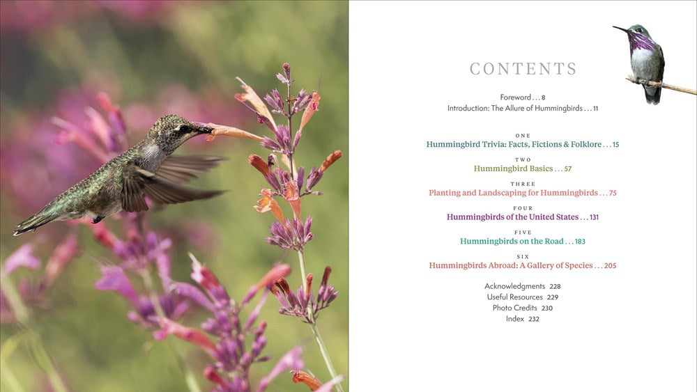 The Hummingbird Handbook: Everything You Need to Know about These Fascinating Birds