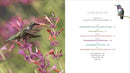 The Hummingbird Handbook: Everything You Need to Know about These Fascinating Birds