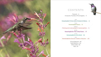 The Hummingbird Handbook: Everything You Need to Know about These Fascinating Birds