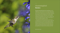 The Hummingbird Handbook: Everything You Need to Know about These Fascinating Birds