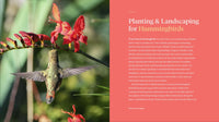 The Hummingbird Handbook: Everything You Need to Know about These Fascinating Birds