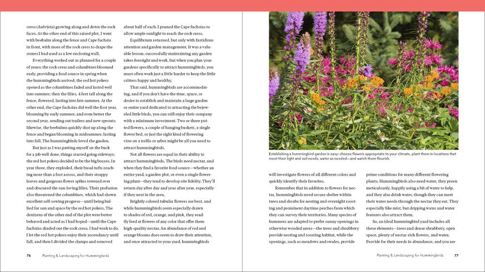 The Hummingbird Handbook: Everything You Need to Know about These Fascinating Birds
