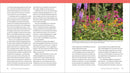 The Hummingbird Handbook: Everything You Need to Know about These Fascinating Birds