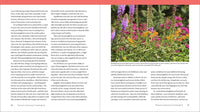 The Hummingbird Handbook: Everything You Need to Know about These Fascinating Birds