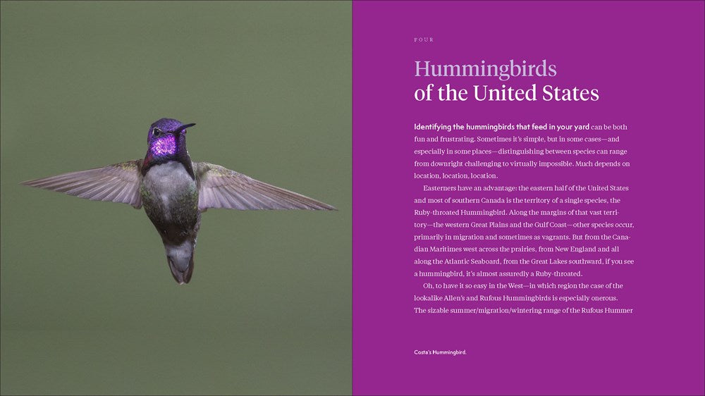 The Hummingbird Handbook: Everything You Need to Know about These Fascinating Birds