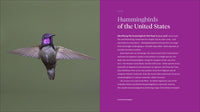The Hummingbird Handbook: Everything You Need to Know about These Fascinating Birds