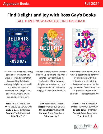 The Book of Delights: Essays
