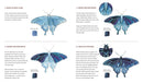 Watercolor in Nature: Paint Woodland Wildlife and Botanicals with 20 Beginner-Friendly Projects