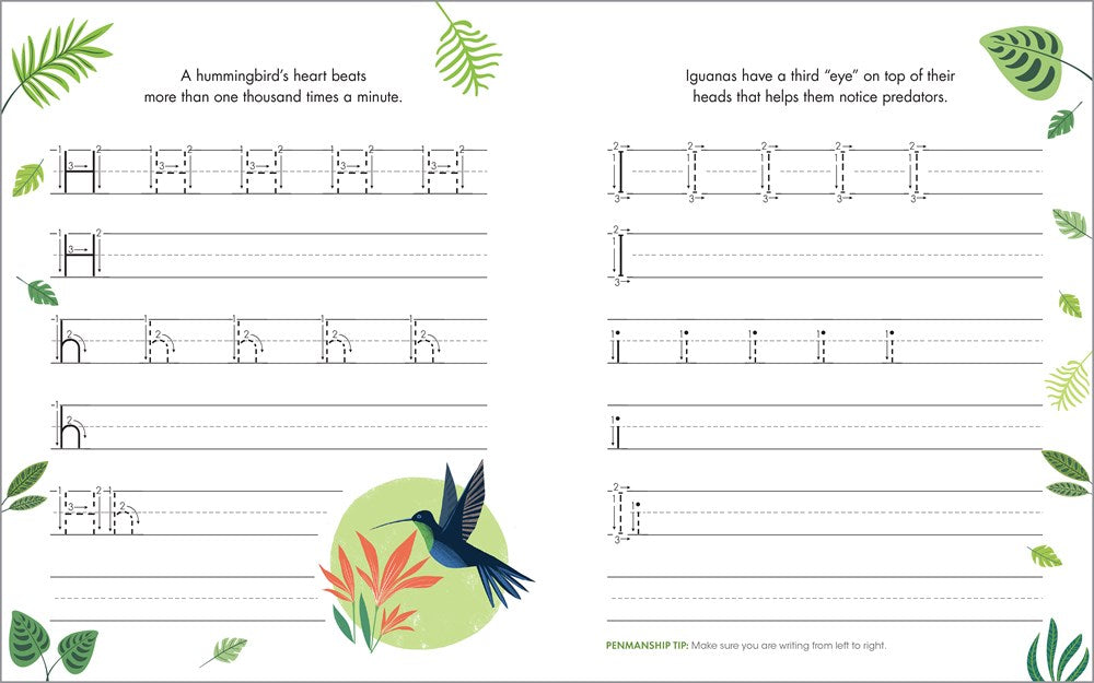 The Print Penmanship Workbook for Kids: Improve Your Handwriting with Fun Animal Facts